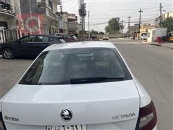 سكودا اوكتافيا